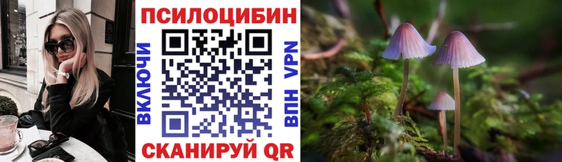 купить наркотик  Заволжье  Псилоцибиновые грибы Psilocybe 
