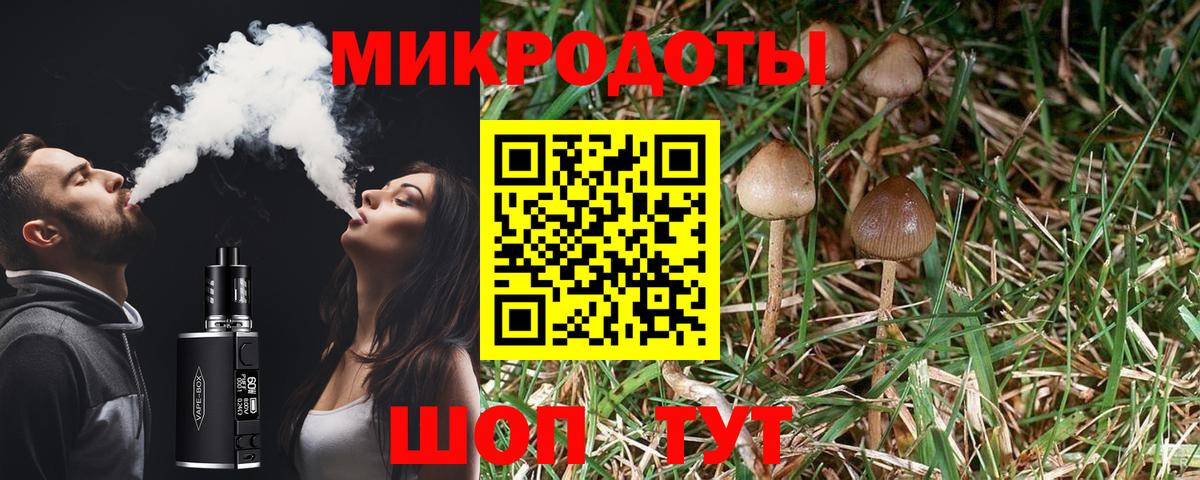 Галлюциногенные грибы мухоморы Заволжье