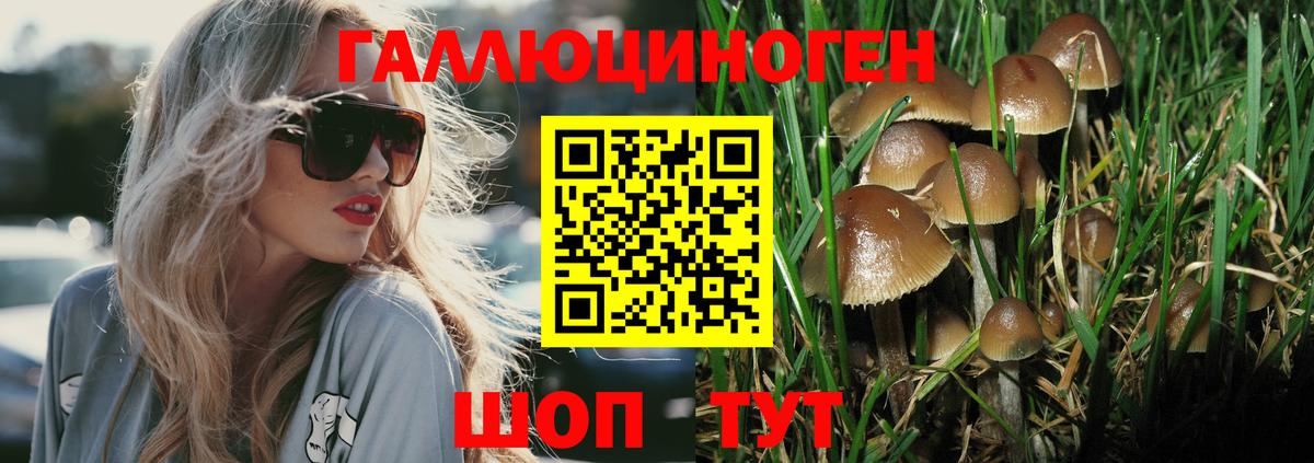 МЕФ Заволжье