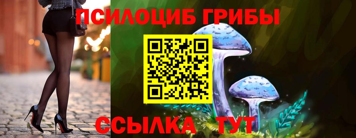Псилоцибиновые грибы GOLDEN TEACHER  Псилоцибиновые грибы GOLDEN TEACHER  Заволжье  Вход с VPN 