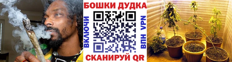 купить наркоту  Заволжье  Конопля White Widow 